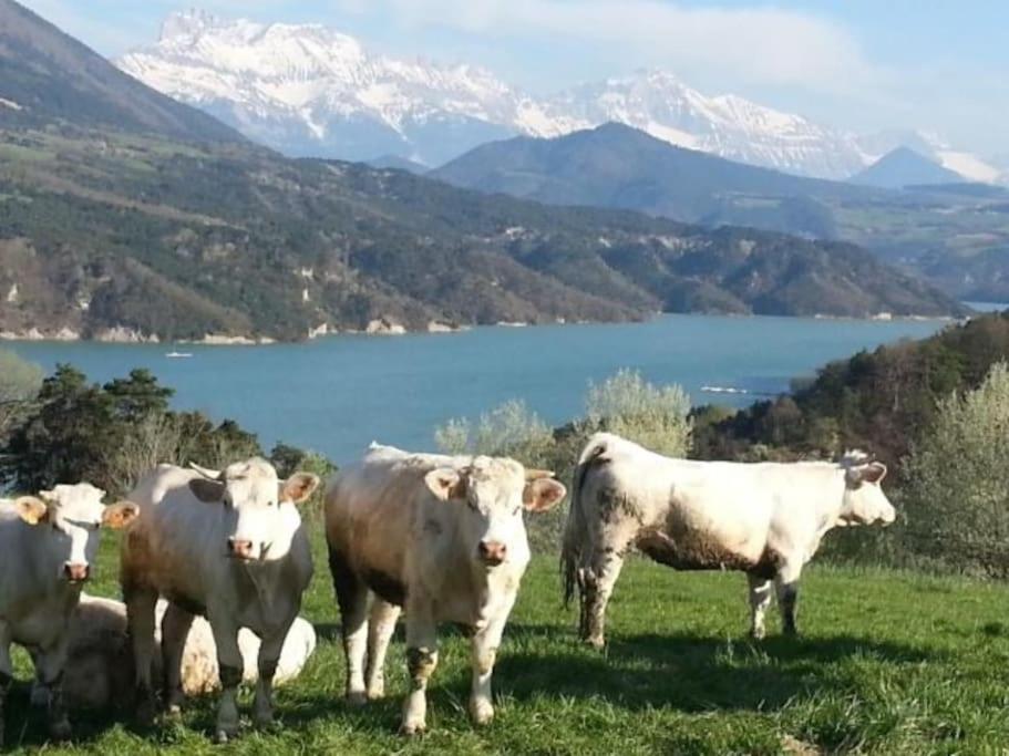 Gite De Charme : La Grange Au Lac Azur Treffort  Exterior foto